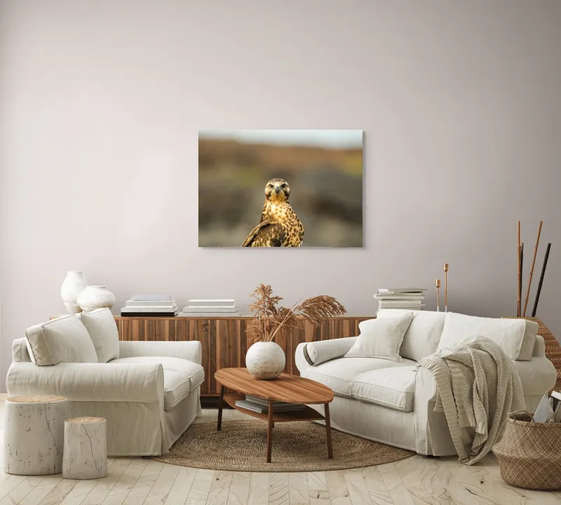 Tablou Canvas, "Prădătorul cerului cu privire ageră", Pene, Ochi, Privire, Inaripata, Campie, 100 x 70 cm – poza 3