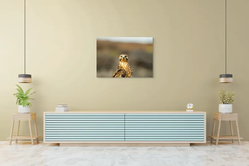 Tablou Canvas, "Prădătorul cerului cu privire ageră", Pene, Ochi, Privire, Inaripata, Campie, 100 x 70 cm – poza 4