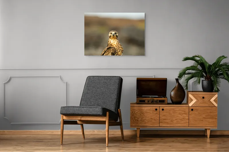 Tablou Canvas, "Prădătorul cerului cu privire ageră", Pene, Ochi, Privire, Inaripata, Campie, 100 x 70 cm – poza 8