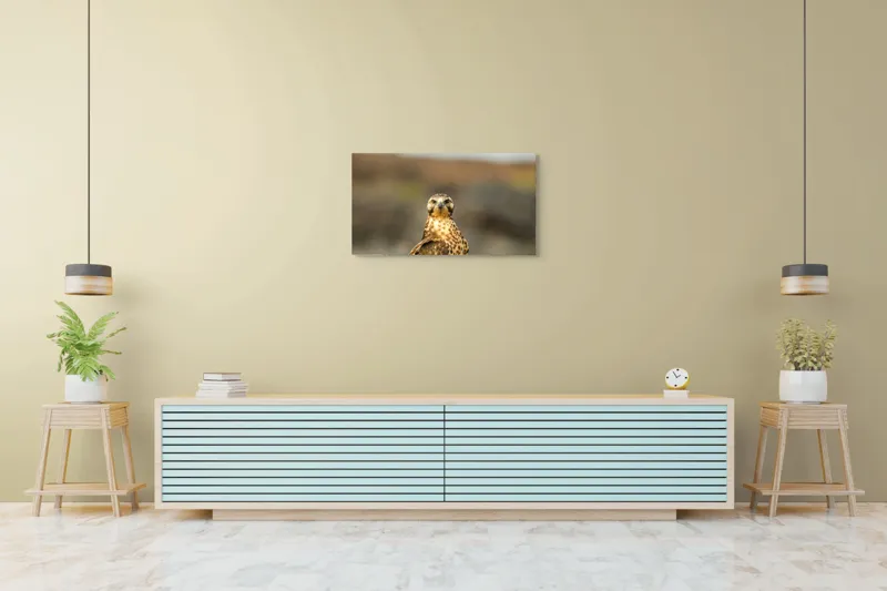 Tablou Canvas, "Prădătorul cerului cu privire ageră", Pene, Ochi, Privire, Inaripata, Campie, 90 x 50 cm – poza 5