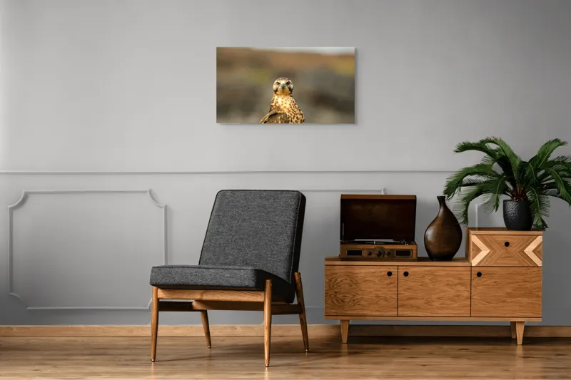 Tablou Canvas, "Prădătorul cerului cu privire ageră", Pene, Ochi, Privire, Inaripata, Campie, 90 x 50 cm – poza 6