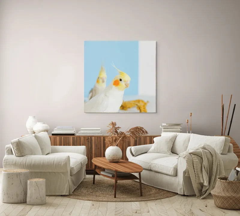 Tablou Canvas, "Două nimfe în decor pastelat", Cocorite, Creste, Portocaliu, Penaj, Fundal Albastru, 100 x 100 cm – poza 3