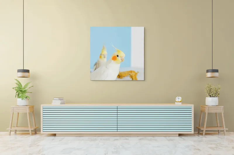 Tablou Canvas, "Două nimfe în decor pastelat", Cocorite, Creste, Portocaliu, Penaj, Fundal Albastru, 100 x 100 cm – poza 5