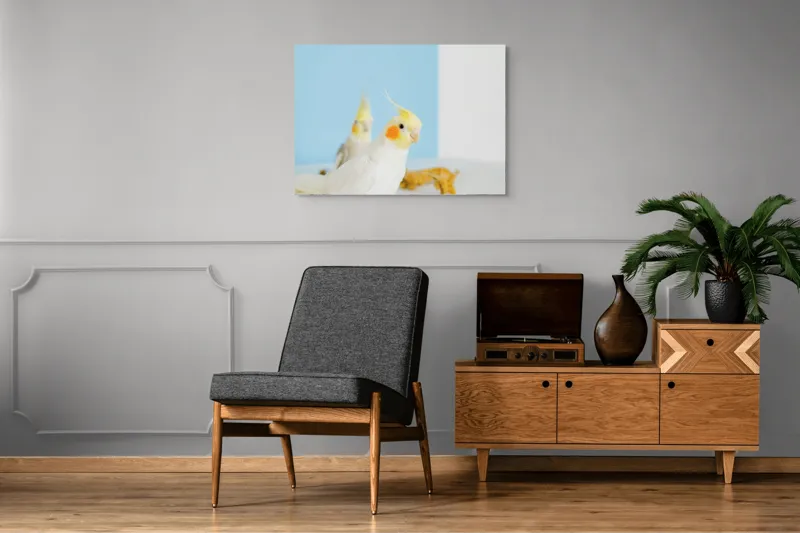 Tablou Canvas, "Două nimfe în decor pastelat", Cocorite, Creste, Portocaliu, Penaj, Fundal Albastru, 100 x 70 cm – poza 8