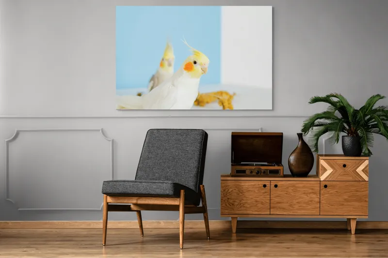 Tablou Canvas, "Două nimfe în decor pastelat", Cocorite, Creste, Portocaliu, Penaj, Fundal Albastru, 150 x 100 cm – poza 8