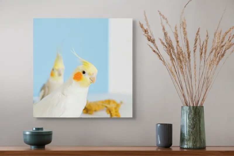 Tablou Canvas, "Două nimfe în decor pastelat", Cocorite, Creste, Portocaliu, Penaj, Fundal Albastru, 50 x 50 cm – poza 4