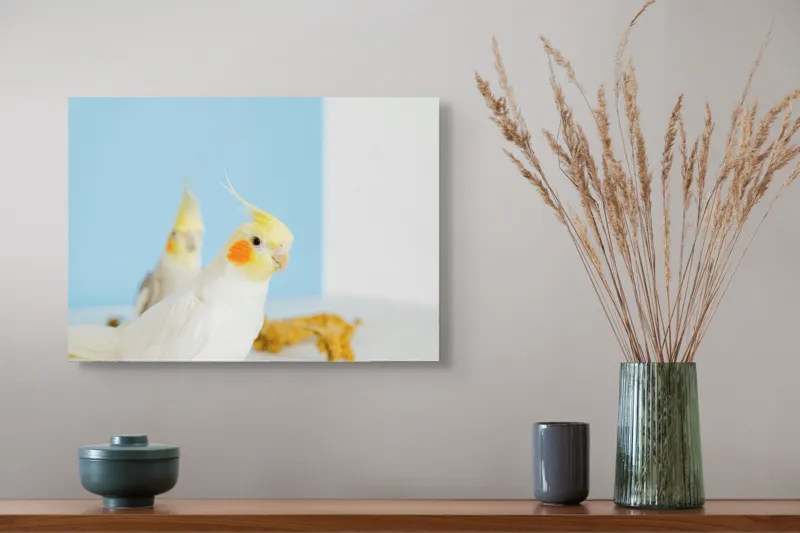 Tablou Canvas, "Două nimfe în decor pastelat", Cocorite, Creste, Portocaliu, Penaj, Fundal Albastru, 54 x 39 cm – poza 4