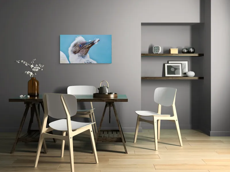Tablou Canvas, "Puiul de pasăre cu pene pufoase", Pasăre, Pui, Alb, Pufos, Cioc, Privire, Cer, Albastru, Detaliu, Penaj, 90 x 50 cm – poza 3