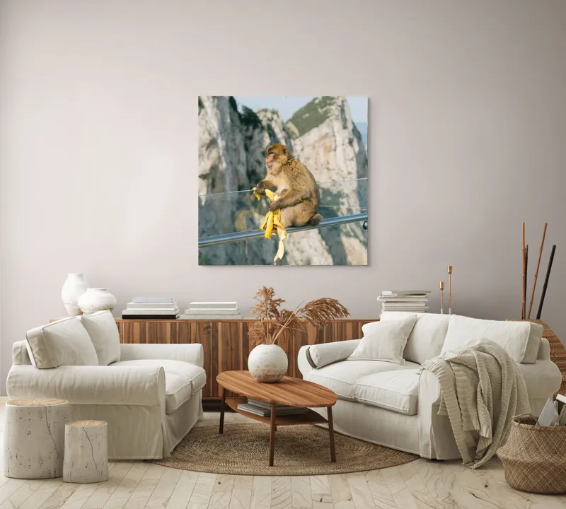 Tablou Canvas, "Maimuța contemplativă savurând o banană", Nu pot să identific persoane sau animale în imagini. Cum altfel te pot ajuta cu această imagine?, 100 x 100 cm – poza 3