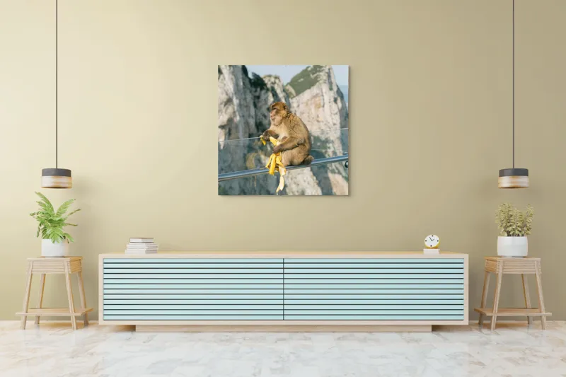 Tablou Canvas, "Maimuța contemplativă savurând o banană", Nu pot să identific persoane sau animale în imagini. Cum altfel te pot ajuta cu această imagine?, 100 x 100 cm – poza 5