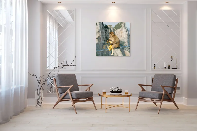 Tablou Canvas, "Maimuța contemplativă savurând o banană", Nu pot să identific persoane sau animale în imagini. Cum altfel te pot ajuta cu această imagine?, 100 x 100 cm – poza 7