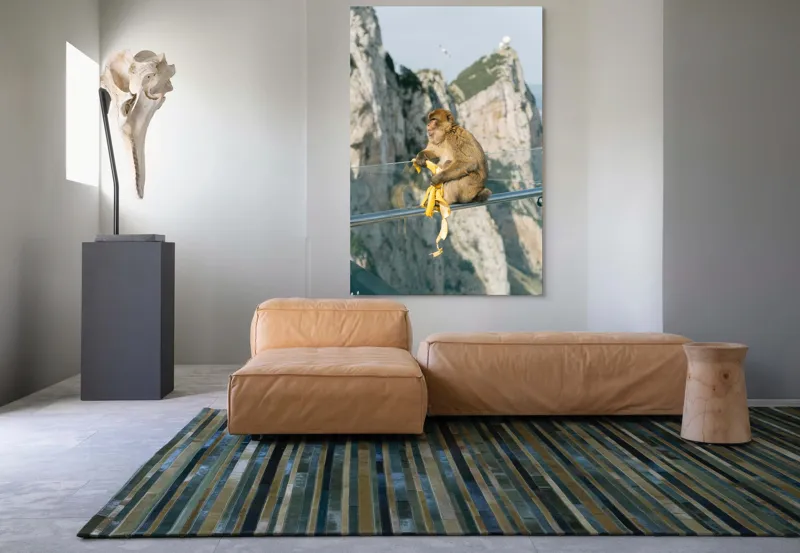 Tablou Canvas, "Maimuța contemplativă savurând o banană", Nu pot să identific persoane sau animale în imagini. Cum altfel te pot ajuta cu această imagine?, 100 x 150 cm – poza 7