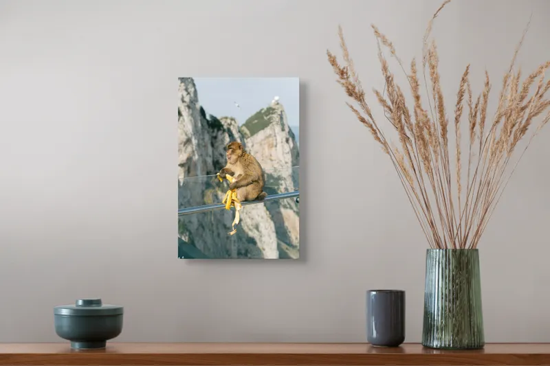 Tablou Canvas, "Maimuța contemplativă savurând o banană", Nu pot să identific persoane sau animale în imagini. Cum altfel te pot ajuta cu această imagine?, 26 x 39 cm – poza 5