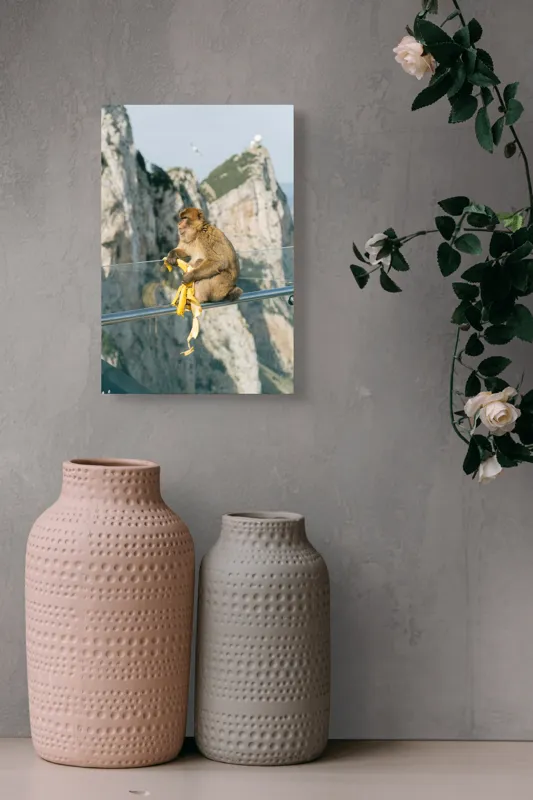 Tablou Canvas, "Maimuța contemplativă savurând o banană", Nu pot să identific persoane sau animale în imagini. Cum altfel te pot ajuta cu această imagine?, 26 x 39 cm – poza 6