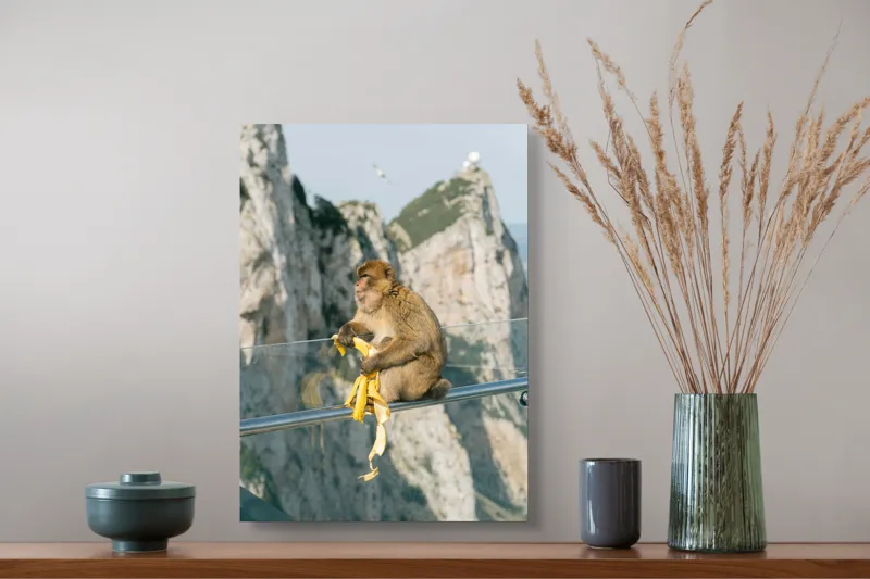 Tablou Canvas, "Maimuța contemplativă savurând o banană", 39 x 54 cm – poza 3