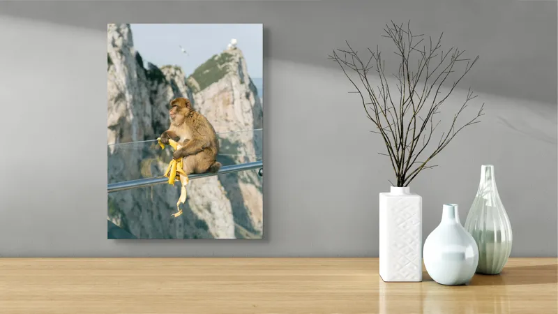 Tablou Canvas, "Maimuța contemplativă savurând o banană", 39 x 54 cm – poza 4
