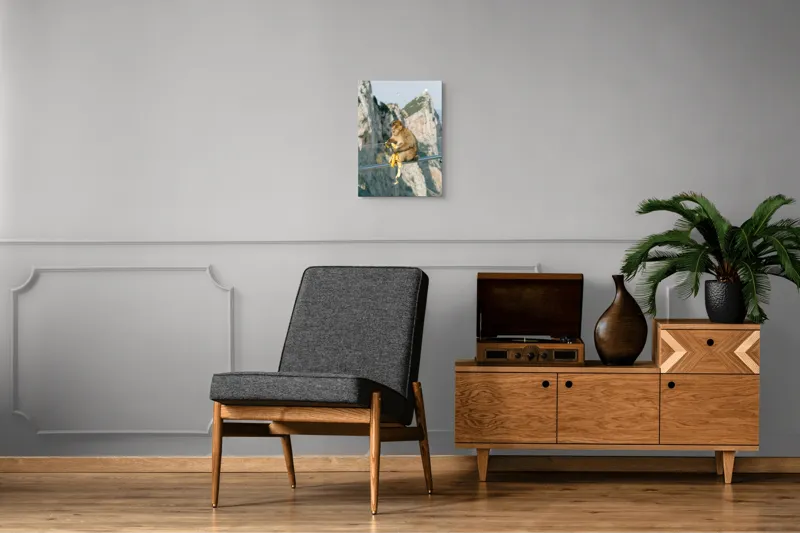 Tablou Canvas, "Maimuța contemplativă savurând o banană", 39 x 54 cm – poza 8