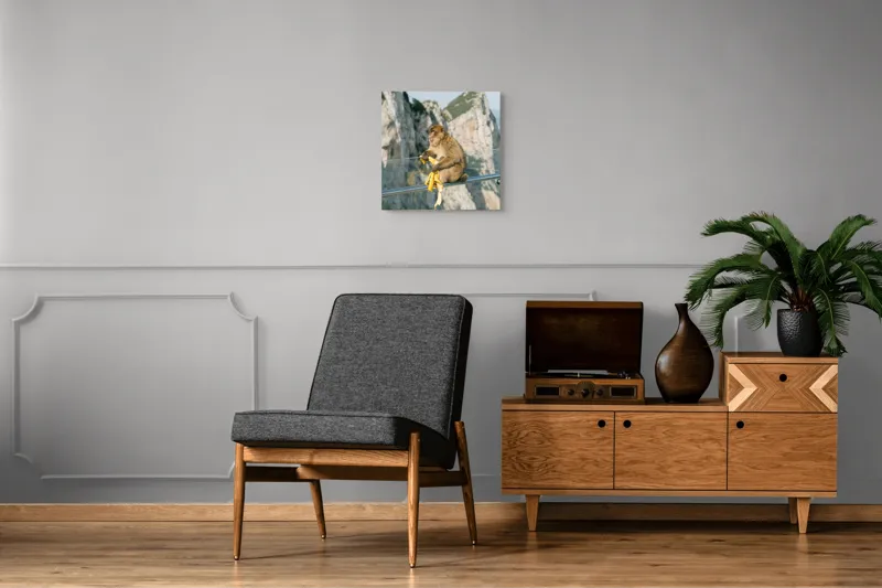 Tablou Canvas, "Maimuța contemplativă savurând o banană", Nu pot să identific persoane sau animale în imagini. Cum altfel te pot ajuta cu această imagine?, 50 x 50 cm – poza 6