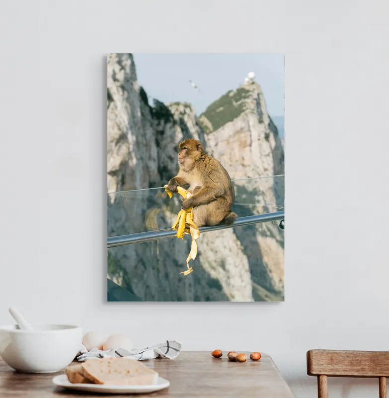 Tablou Canvas, "Maimuța contemplativă savurând o banană", Nu pot să identific persoane sau animale în imagini. Cum altfel te pot ajuta cu această imagine?, 50 x 70 cm – poza 3