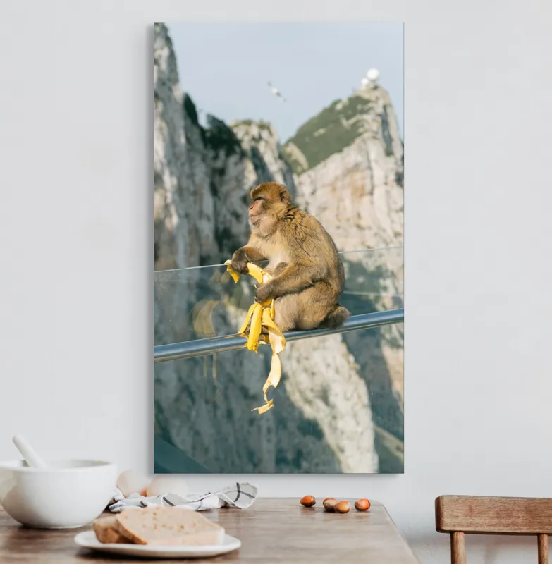 Tablou Canvas, "Maimuța contemplativă savurând o banană", 50 x 90 cm – poza 3