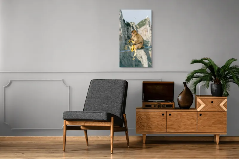 Tablou Canvas, "Maimuța contemplativă savurând o banană", 50 x 90 cm – poza 8