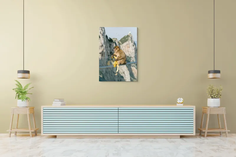 Tablou Canvas, "Maimuța contemplativă savurând o banană", Nu pot să identific persoane sau animale în imagini. Cum altfel te pot ajuta cu această imagine?, 70 x 100 cm – poza 5