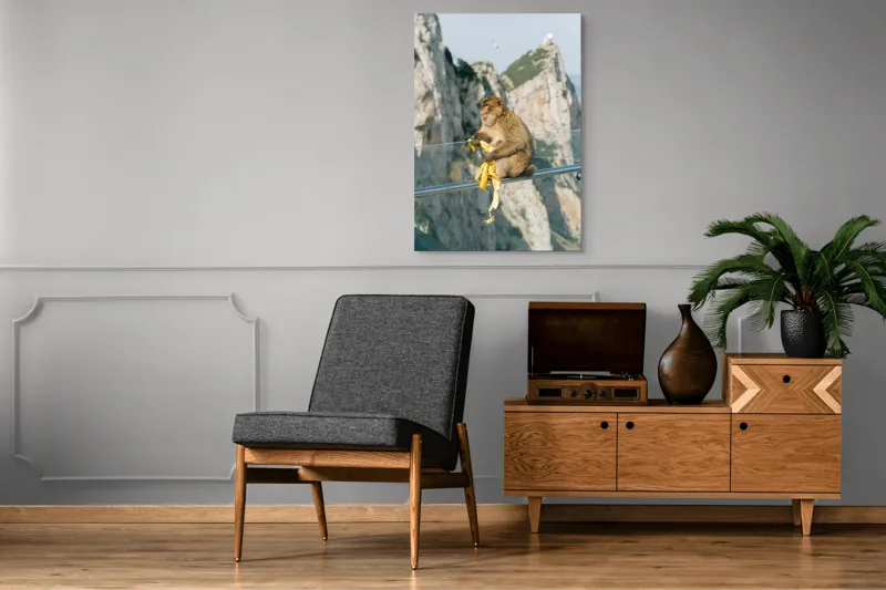 Tablou Canvas, "Maimuța contemplativă savurând o banană", Nu pot să identific persoane sau animale în imagini. Cum altfel te pot ajuta cu această imagine?, 70 x 100 cm – poza 6