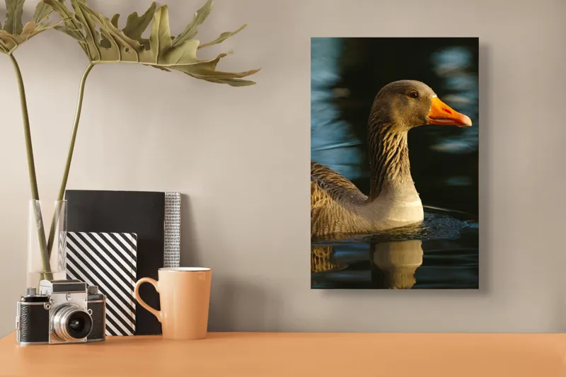 Tablou Canvas, "Gâsca solitară pe lacul albastru", 26 x 39 cm – poza 3