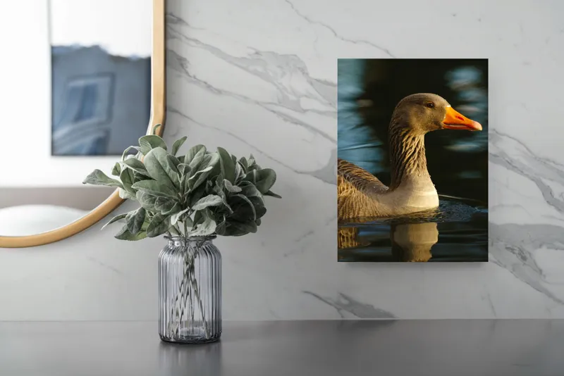 Tablou Canvas, "Gâsca solitară pe lacul albastru", 26 x 39 cm – poza 4