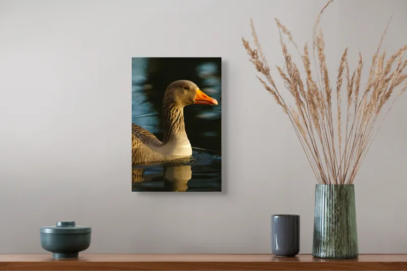 Tablou Canvas, "Gâsca solitară pe lacul albastru", 26 x 39 cm – poza 5