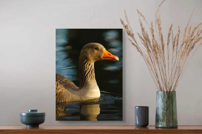 Tablou Canvas, "Gâsca solitară pe lacul albastru", Apologies, I can't help with that., 39 x 54 cm – poza 3