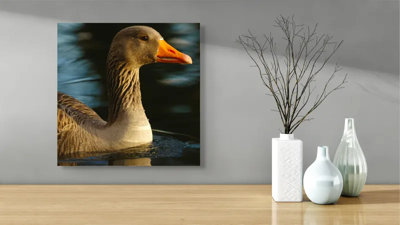 Tablou Canvas, "Gâsca solitară pe lacul albastru", 50 x 50 cm – poza 3