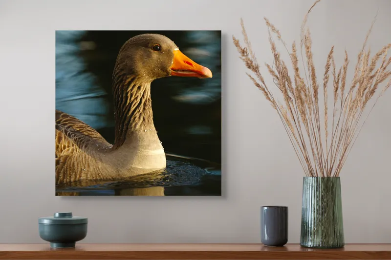 Tablou Canvas, "Gâsca solitară pe lacul albastru", 50 x 50 cm – poza 4