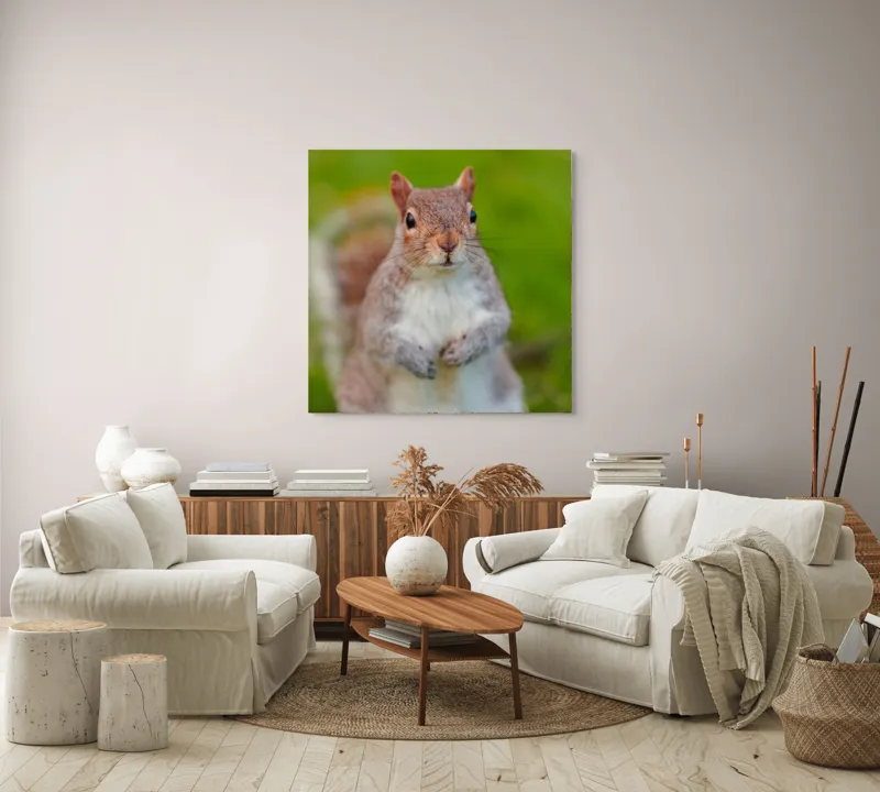 Tablou Canvas, "Veverița curioasă din grădină", Veveriță, Drăgălașă, Curioasă, Blăniță, Ochii, Verdeață., 100 x 100 cm – poza 3