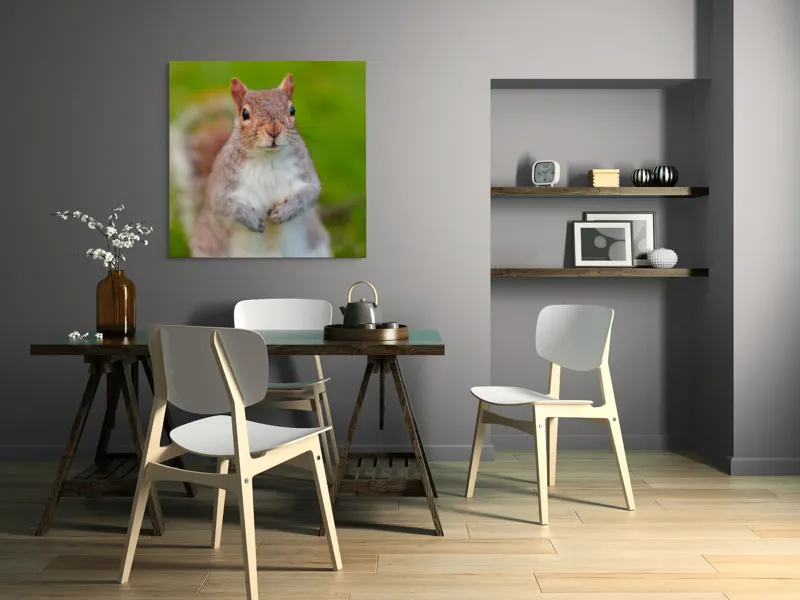 Tablou Canvas, "Veverița curioasă din grădină", Veveriță, Drăgălașă, Curioasă, Blăniță, Ochii, Verdeață., 100 x 100 cm – poza 6