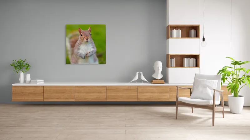 Tablou Canvas, "Veverița curioasă din grădină", Veveriță, Drăgălașă, Curioasă, Blăniță, Ochii, Verdeață., 100 x 100 cm – poza 8