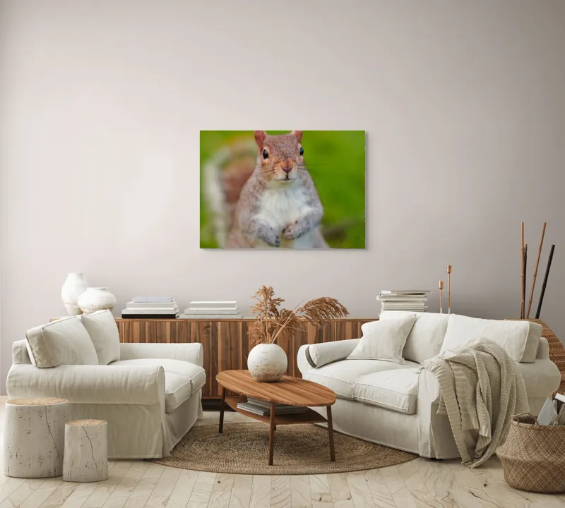 Tablou Canvas, "Veverița curioasă din grădină", Veveriță, Drăgălașă, Curioasă, Blăniță, Ochii, Verdeață., 100 x 70 cm – poza 3
