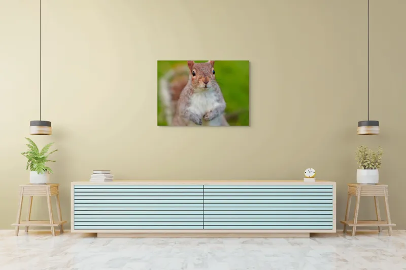 Tablou Canvas, "Veverița curioasă din grădină", Veveriță, Drăgălașă, Curioasă, Blăniță, Ochii, Verdeață., 100 x 70 cm – poza 4