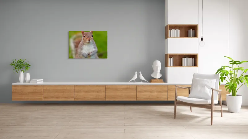 Tablou Canvas, "Veverița curioasă din grădină", Veveriță, Drăgălașă, Curioasă, Blăniță, Ochii, Verdeață., 100 x 70 cm – poza 6
