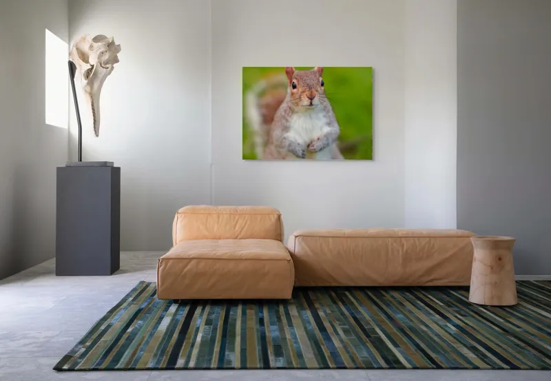 Tablou Canvas, "Veverița curioasă din grădină", Veveriță, Drăgălașă, Curioasă, Blăniță, Ochii, Verdeață., 100 x 70 cm – poza 7