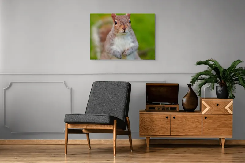 Tablou Canvas, "Veverița curioasă din grădină", Veveriță, Drăgălașă, Curioasă, Blăniță, Ochii, Verdeață., 100 x 70 cm – poza 8