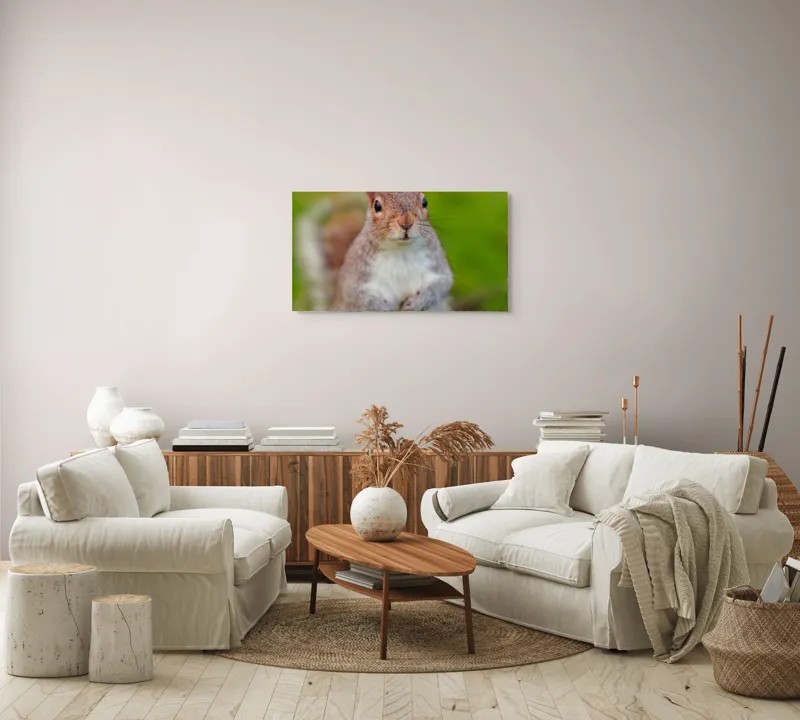 Tablou Canvas, "Veverița curioasă din grădină", Veveriță, Drăgălașă, Curioasă, Blăniță, Ochii, Verdeață., 90 x 50 cm – poza 4