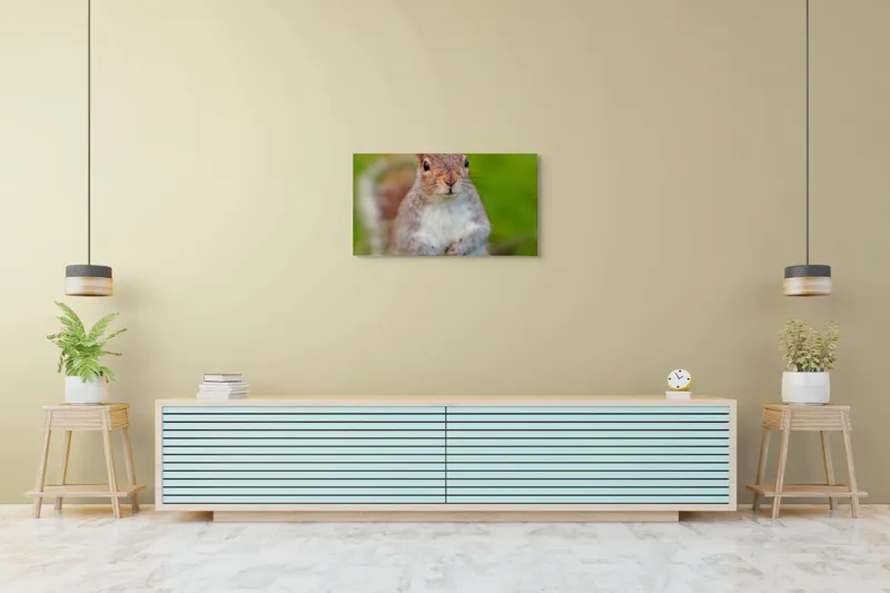 Tablou Canvas, "Veverița curioasă din grădină", Veveriță, Drăgălașă, Curioasă, Blăniță, Ochii, Verdeață., 90 x 50 cm – poza 5
