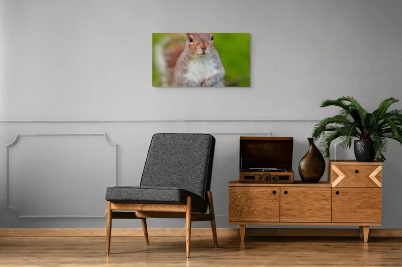 Tablou Canvas, "Veverița curioasă din grădină", Veveriță, Drăgălașă, Curioasă, Blăniță, Ochii, Verdeață., 90 x 50 cm – poza 6