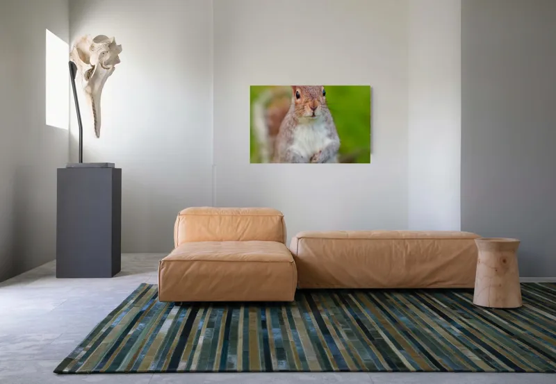 Tablou Canvas, "Veverița curioasă din grădină", Veveriță, Drăgălașă, Curioasă, Blăniță, Ochii, Verdeață., 90 x 50 cm – poza 8