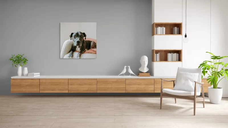 Tablou Canvas, "Un prieten loial pe canapea blancă", Câine, Blană, Blând, Canapea, Relaxare, Privire, Odihnă, 100 x 100 cm – poza 8