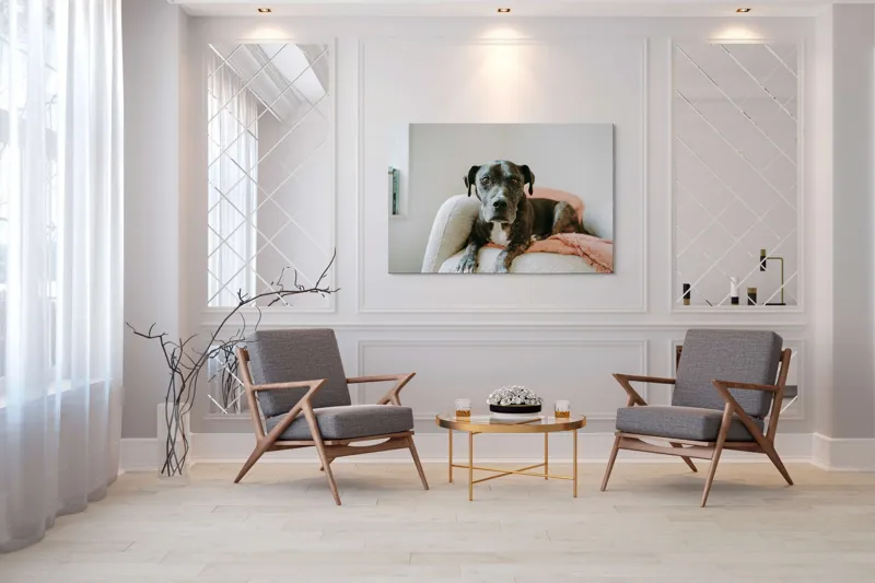Tablou Canvas, "Un prieten loial pe canapea blancă", Câine, Blană, Blând, Canapea, Relaxare, Privire, Odihnă, 150 x 100 cm – poza 7