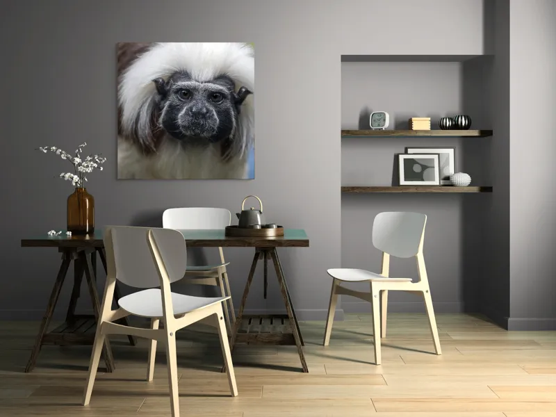Tablou Canvas, "Portretul unui tamarin curios", I don't know who this is., 100 x 100 cm – poza 6