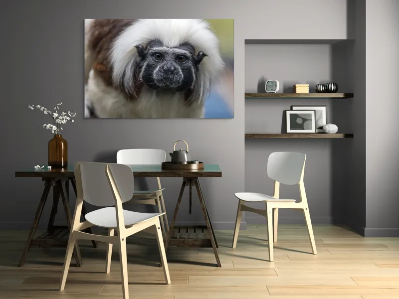 Tablou Canvas, "Portretul unui tamarin curios", I don't know who this is., 150 x 100 cm – poza 5