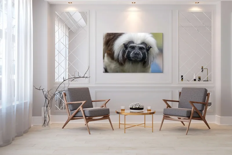 Tablou Canvas, "Portretul unui tamarin curios", I don't know who this is., 150 x 100 cm – poza 7